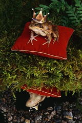 Post image for Bring a Story Teller to Your Markishing Team